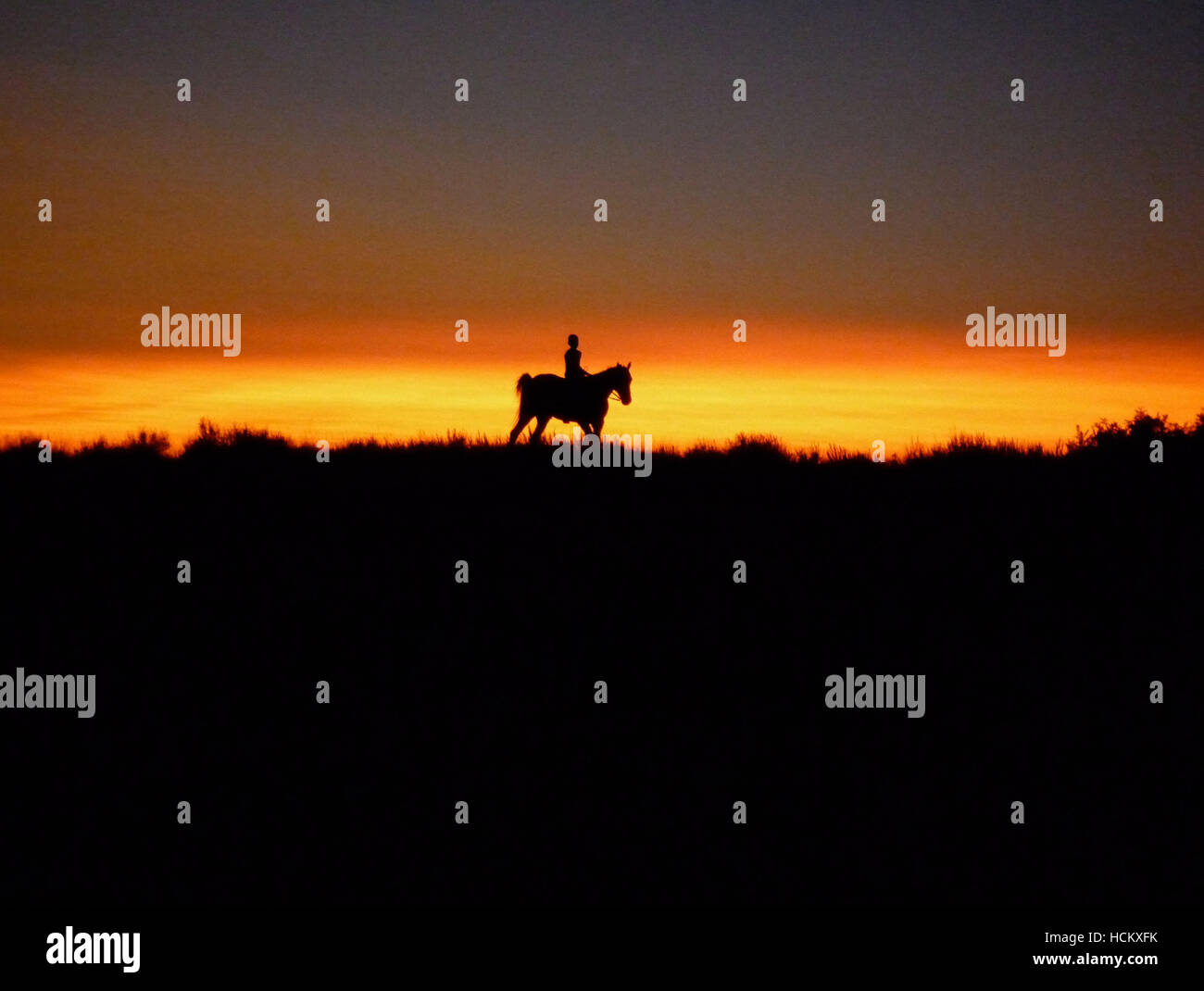 REEL INJUN, 2009. ©Domino Films Distribution/Courtesy Everett ...