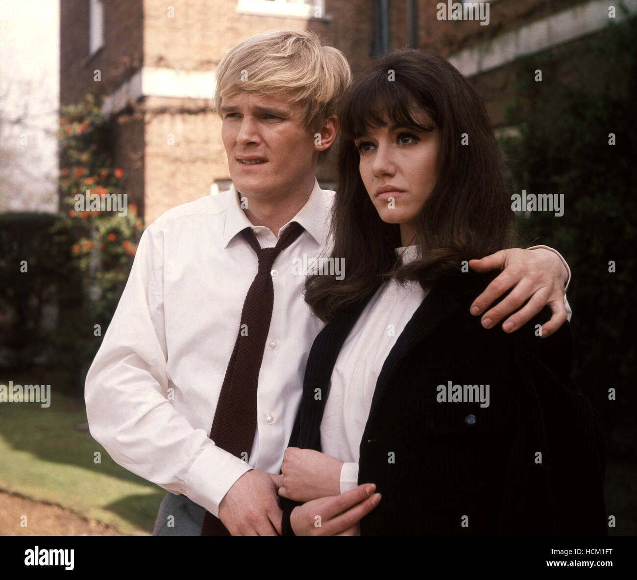 SCREAM AND SCREAM AGAIN, Christopher Matthews, Judy Bloom, 1970 Stock ...