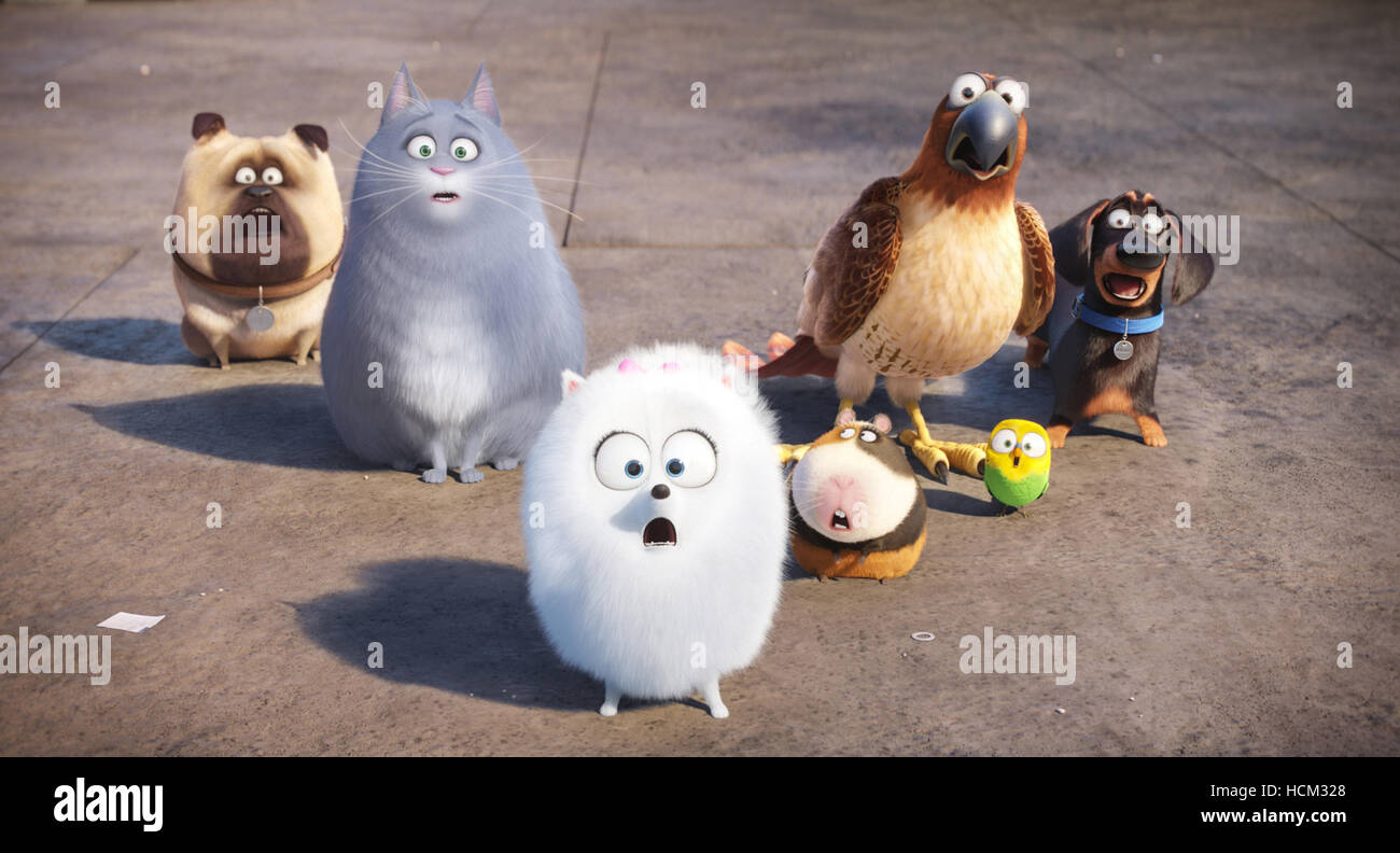 gidget secret life of pets