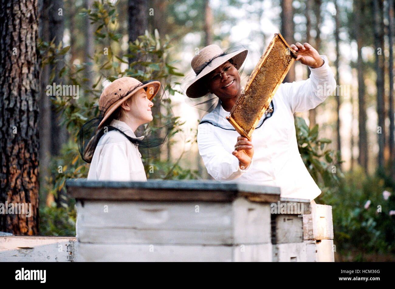 THE SECRET LIFE OF BEES, from left: Dakota Fanning, Queen Latifah, 2008