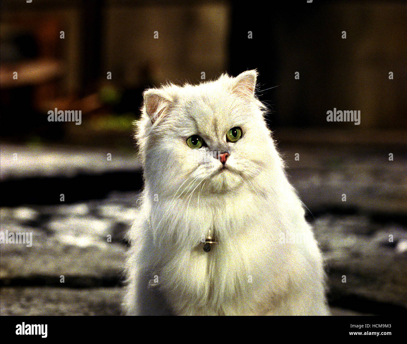 STUART LITTLE 2, Snowbell the cat, 2002, (c) Columbia/courtesy Everett