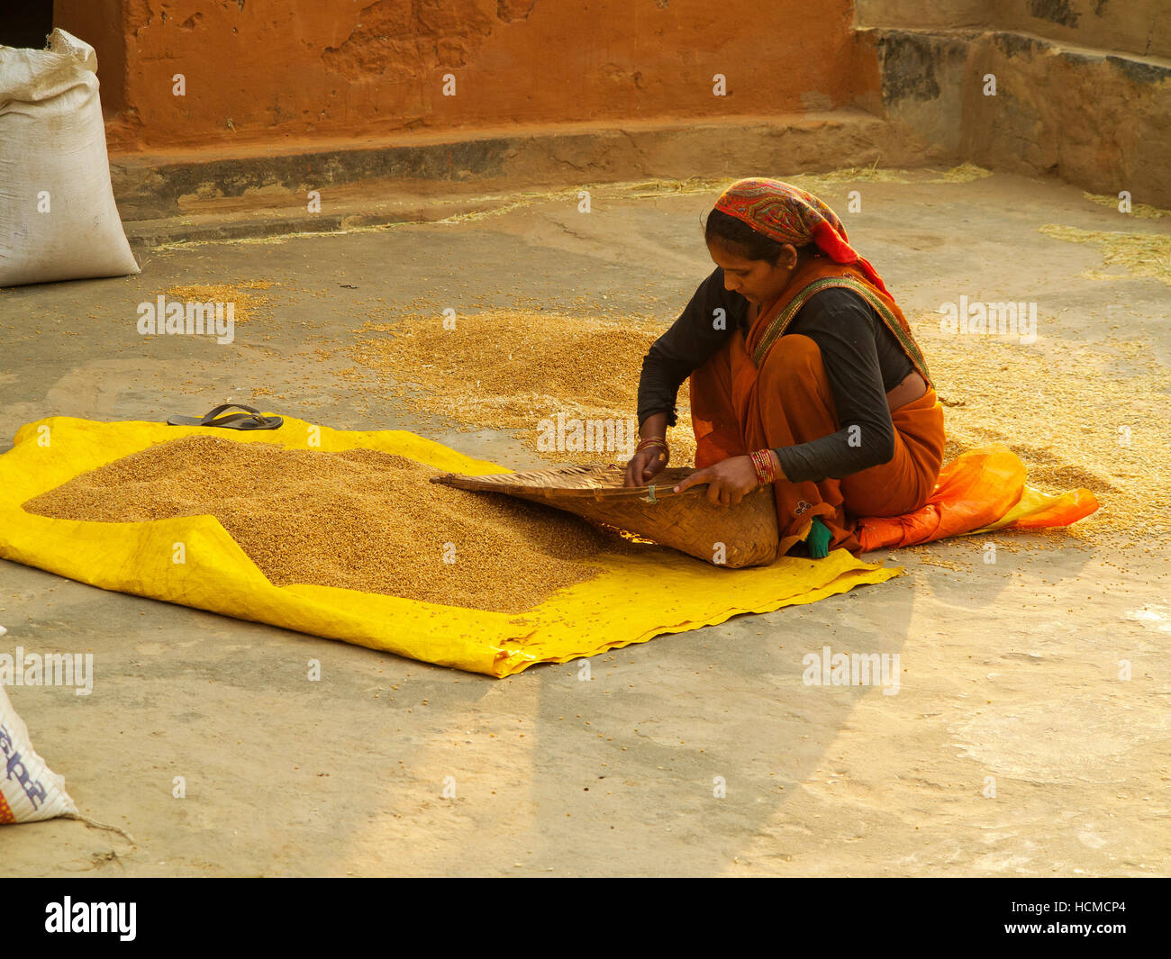 Indian woman working on some grains at Chuka Village, Kumaon Hills, Uttarakhand, India Stock Photo