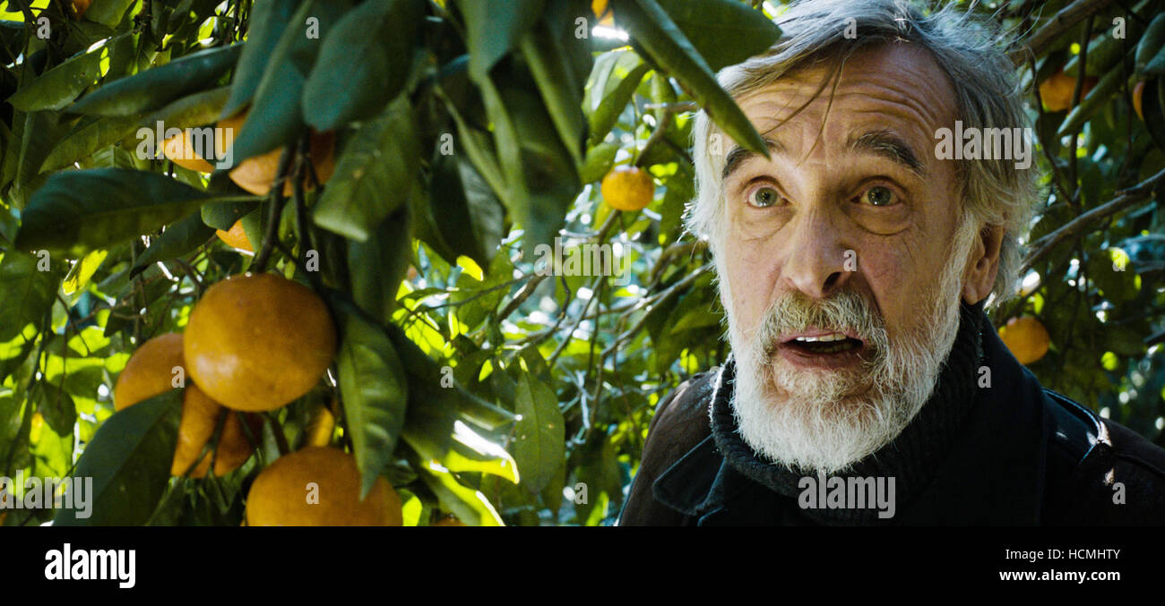 TANGERINES, (aka MANDARIINID), Lembit Ulfsak, 2013 Stock Photo Alamy