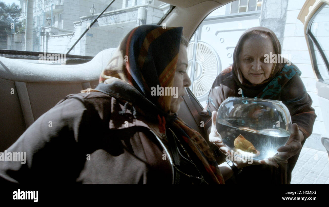 TAXI TEHRAN, (aka TAXI), 2015. ©Kino Lorber/Courtesy Everett Collection