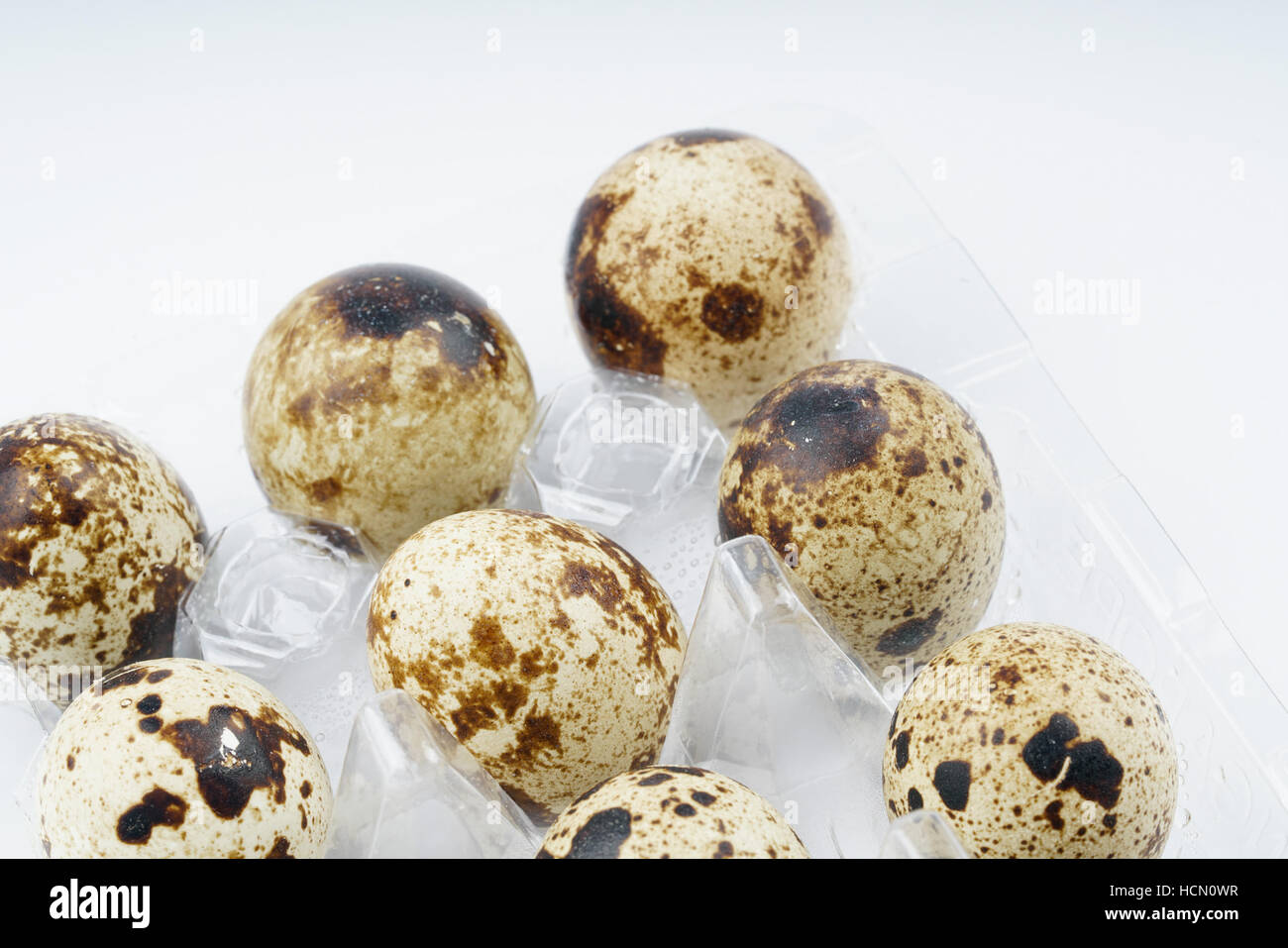 https://c8.alamy.com/comp/HCN0WR/japanese-quail-eggs-food-and-health-concept-HCN0WR.jpg