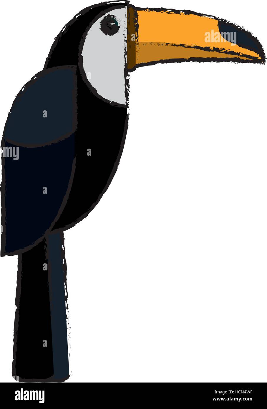 brazilian toucan bird nature sketch Stock Vector