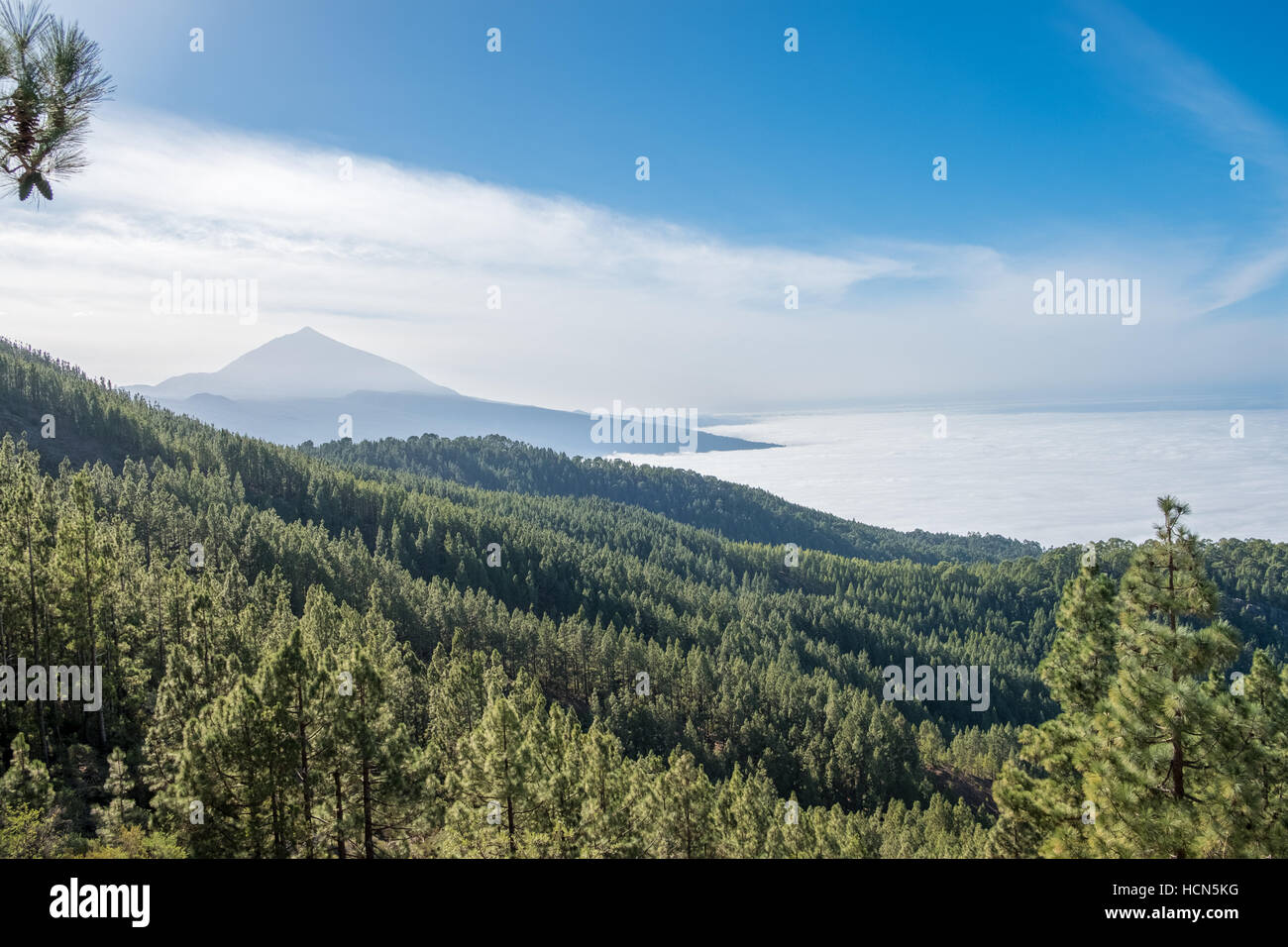 Peak of the mountain and sea of clouds, Tenerife Stock Photo