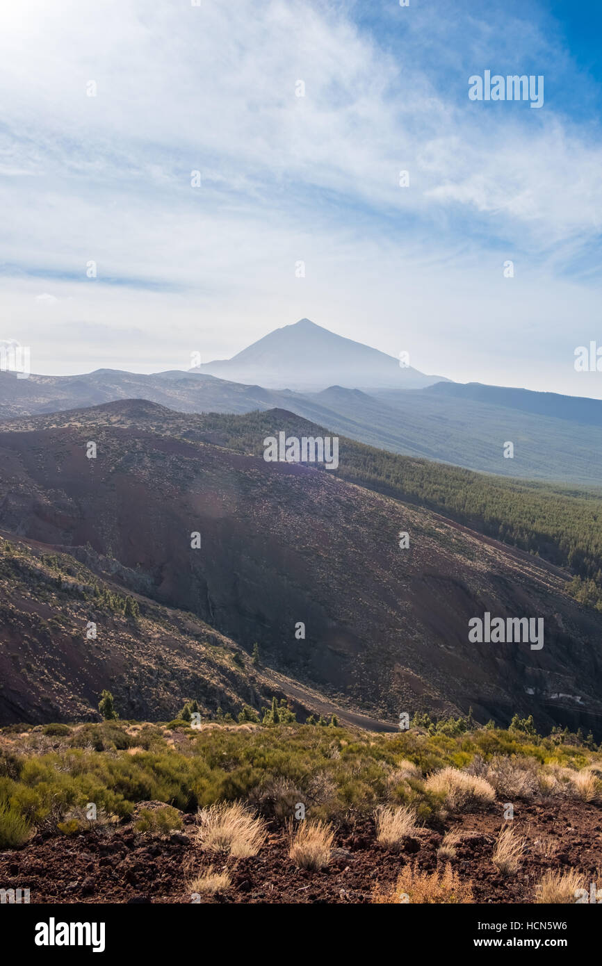 Forest, mountain landscape - blue sky and clouds Stock Photo