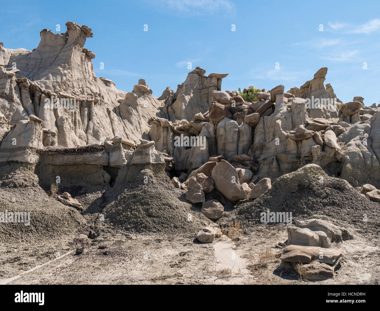 Hoodoo formations, Bisti/De-Na-Zin Wilderness, Farmington, New Mexico