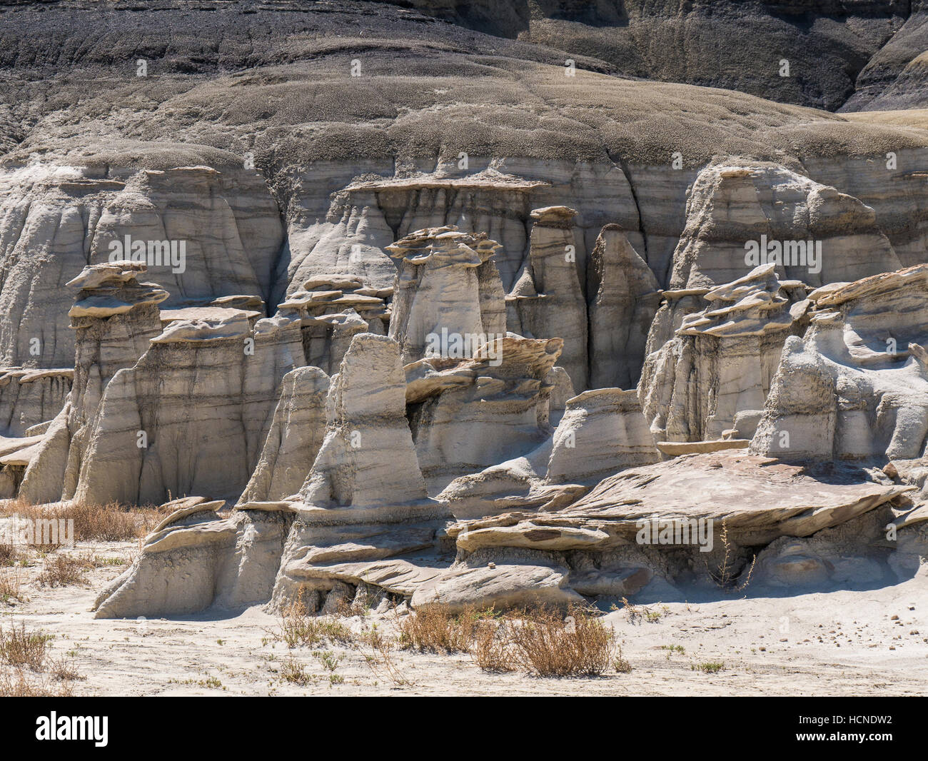 Hoodoo formations, Bisti/De-Na-Zin Wilderness, Farmington, New Mexico