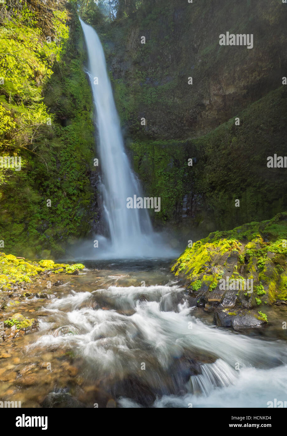 The famous Tunnel Falls in it's entirety as seen from it's base Stock