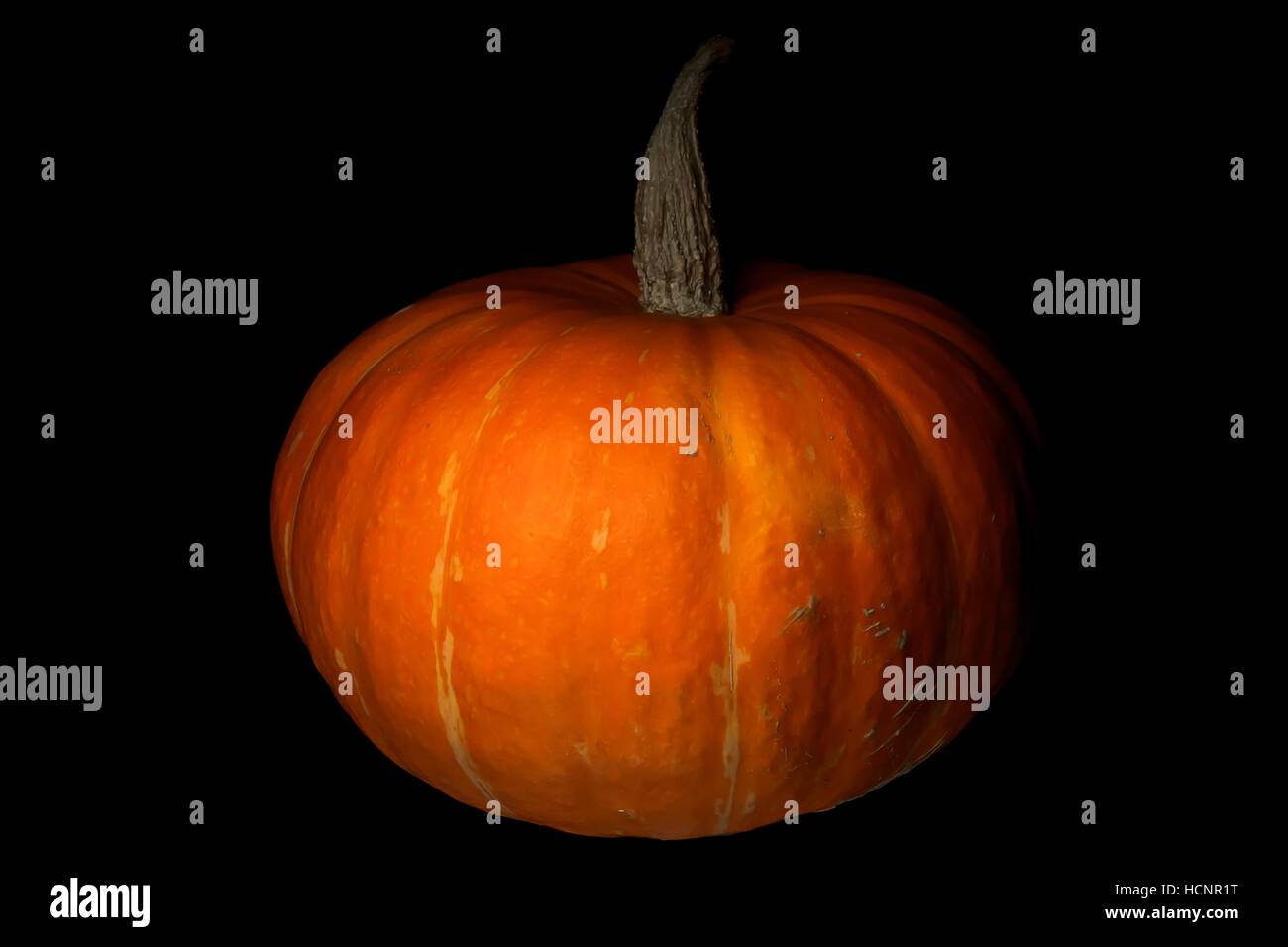 Pumpkin on black background Stock Photo - Alamy