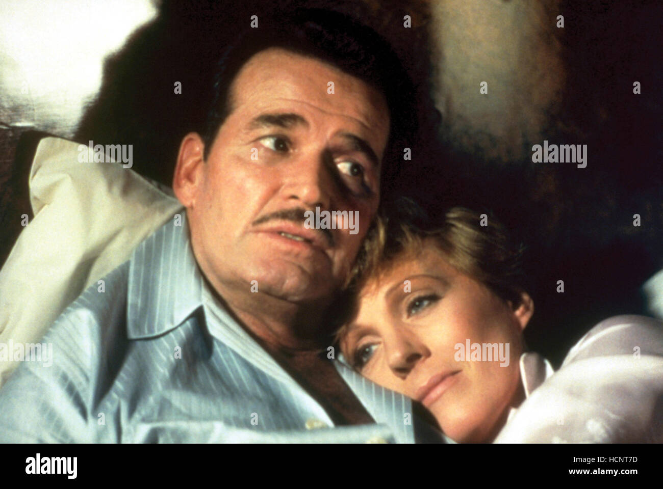 Julie andrews james garner christmas movie