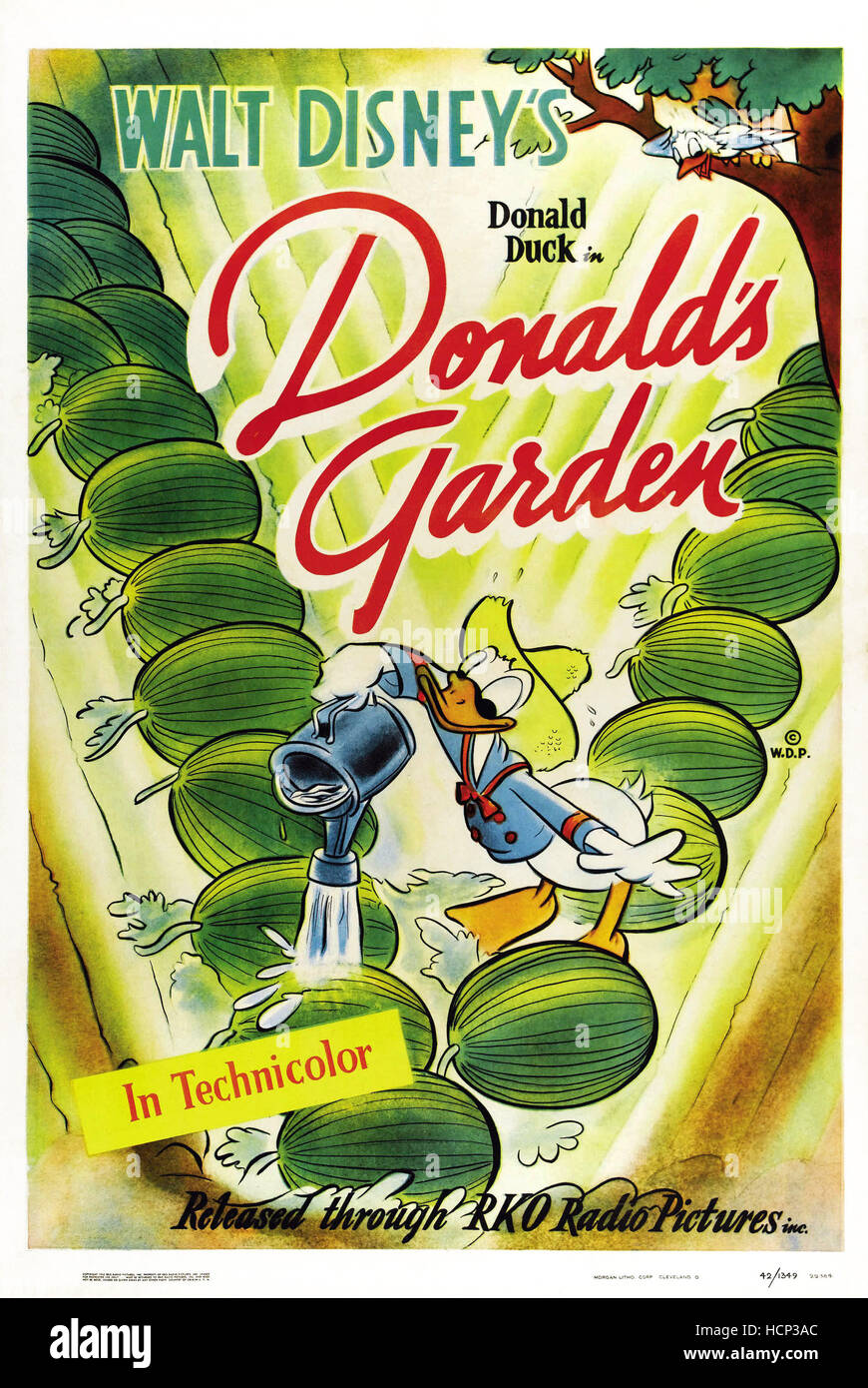 DONALD'S GARDEN, US poster art, center: Donald Duck, 1942 Stock Photo ...