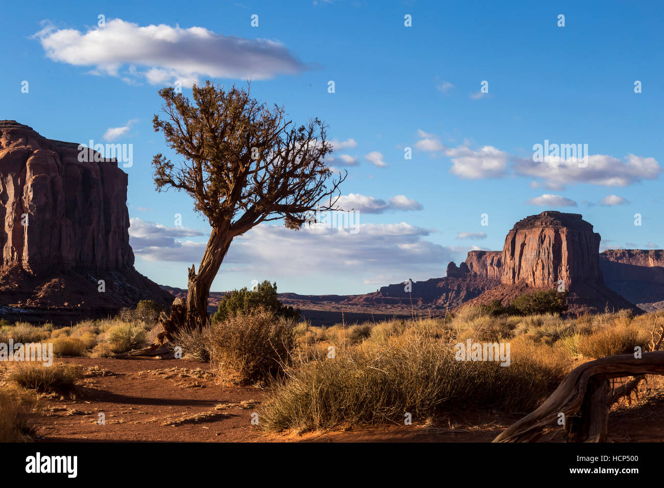 Monument Valley National Park in Arizona, USA Stock Photo Alamy