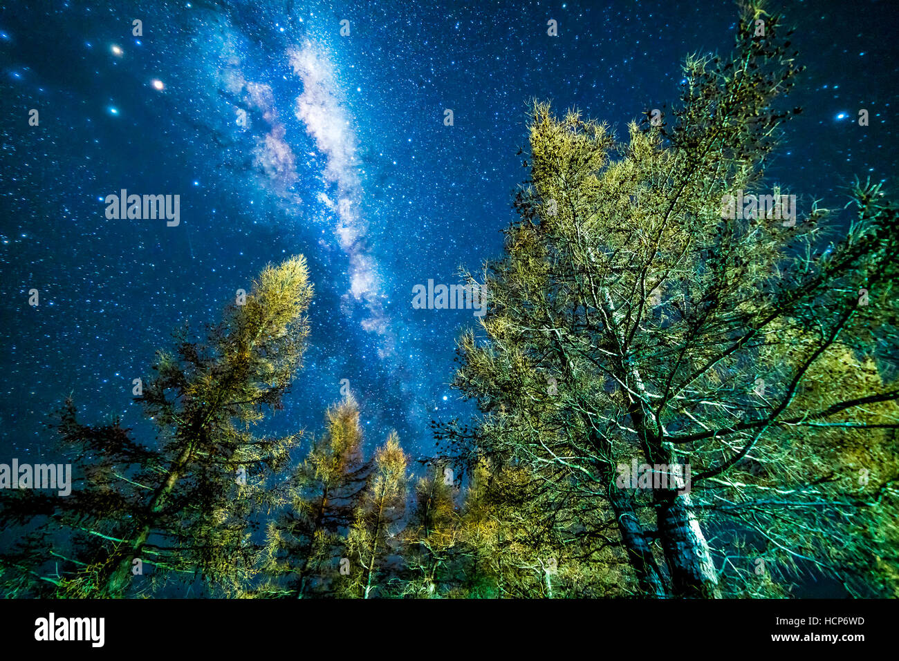 Milky way from glentanner campsite, New Zealand Stock Photo - Alamy