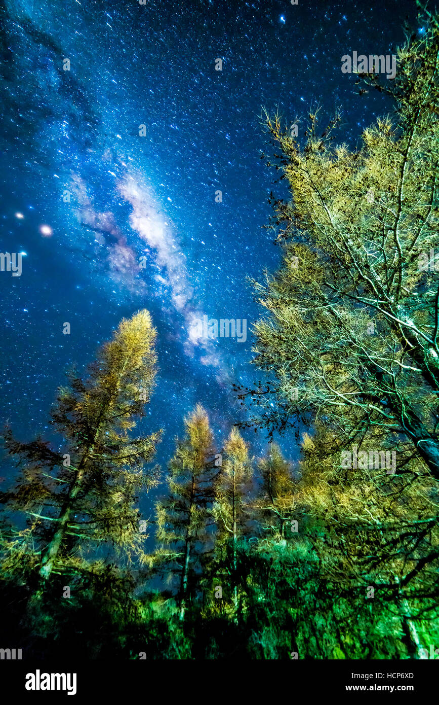 Milky way from glentanner campsite, New Zealand Stock Photo - Alamy