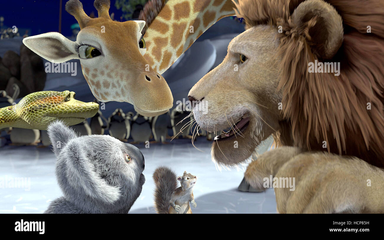 Nigel koala hi-res stock photography and images - Alamy