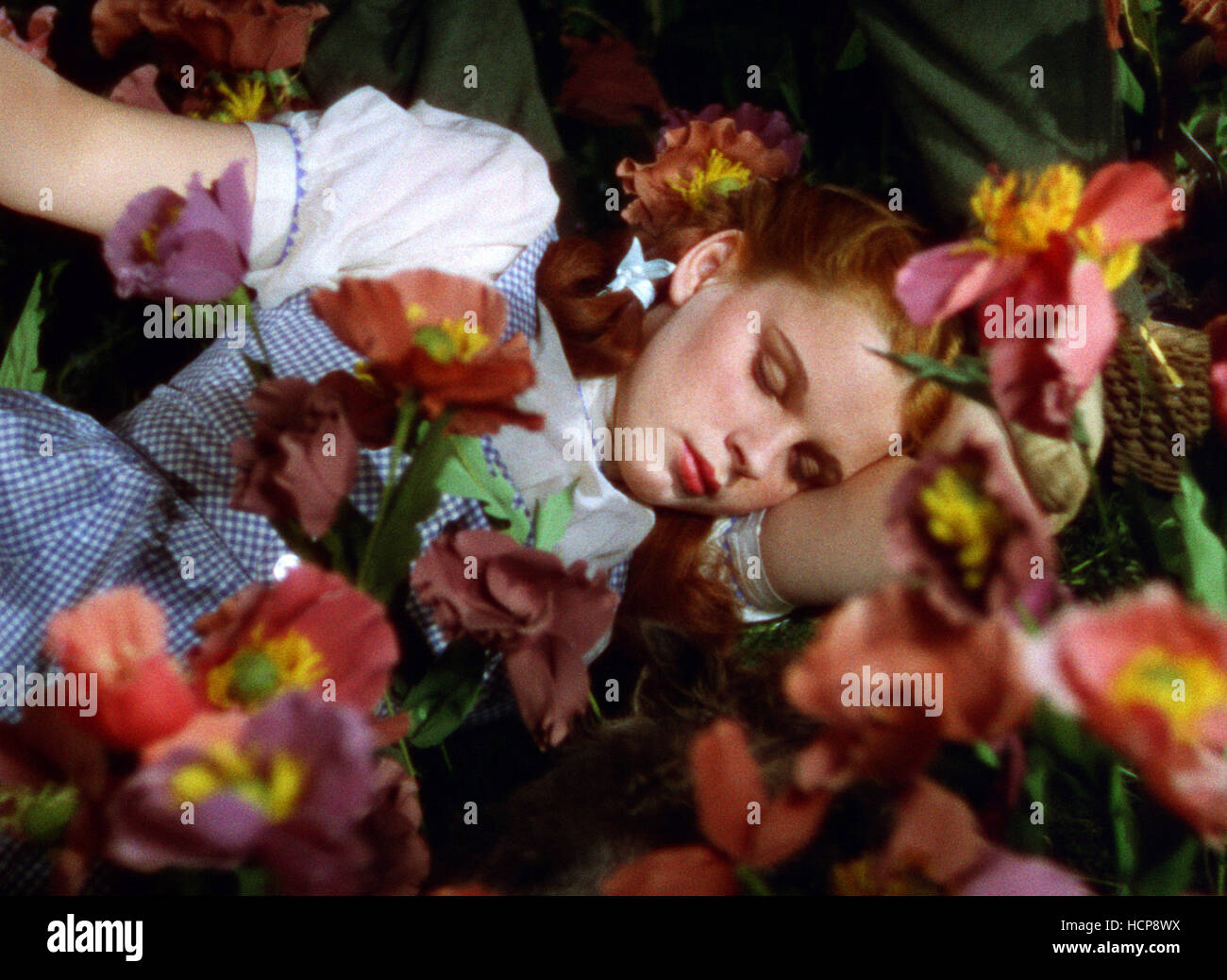 THE WIZARD OF OZ, Judy Garland, 1939 Stock Photo - Alamy