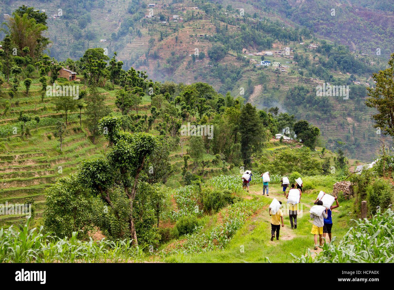 Locals carrying hybrid rice seed, Sindupalchuk, Nepal Stock Photo