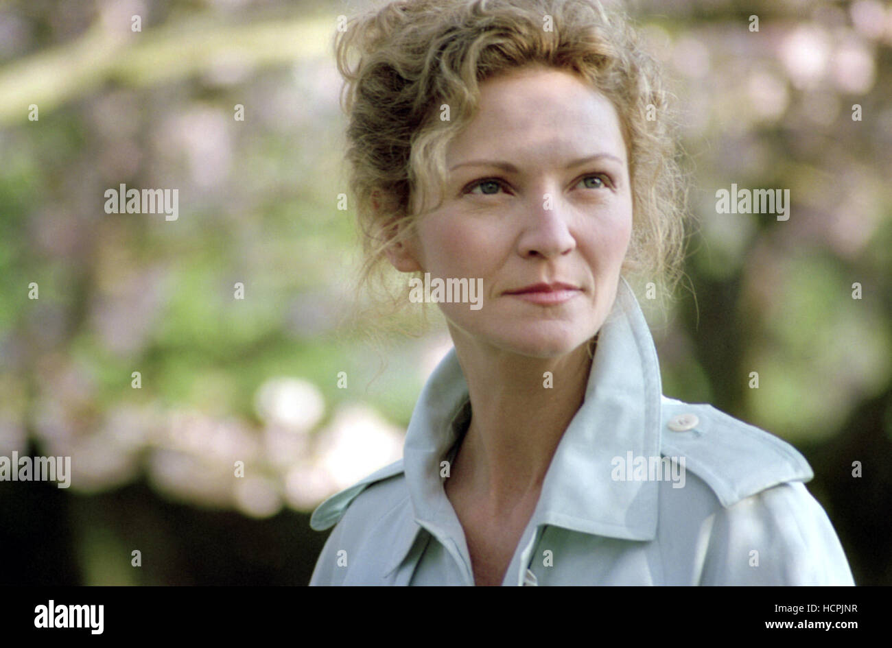 YES, Joan Allen, 2004, (c) Sony Pictures Classics/courtesy Everett ...