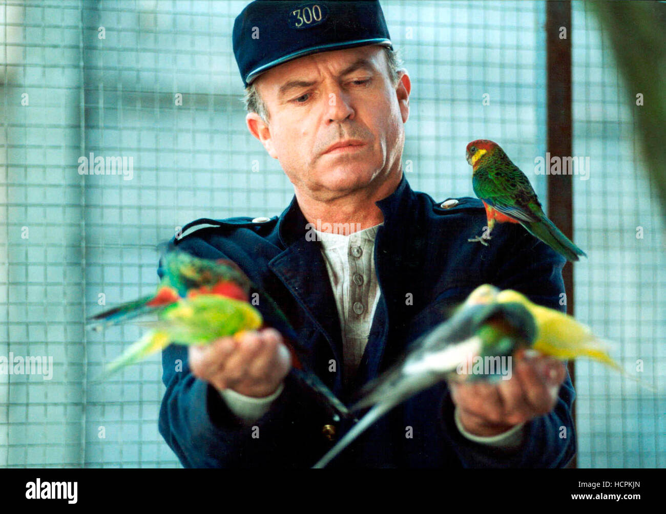 THE ZOOKEEPER Sam Neill 2001 c Horizon Entertainment Courtesy THE ZOOKEEPER Sam Neill 2001 c Horizon Entertainment Courtesy