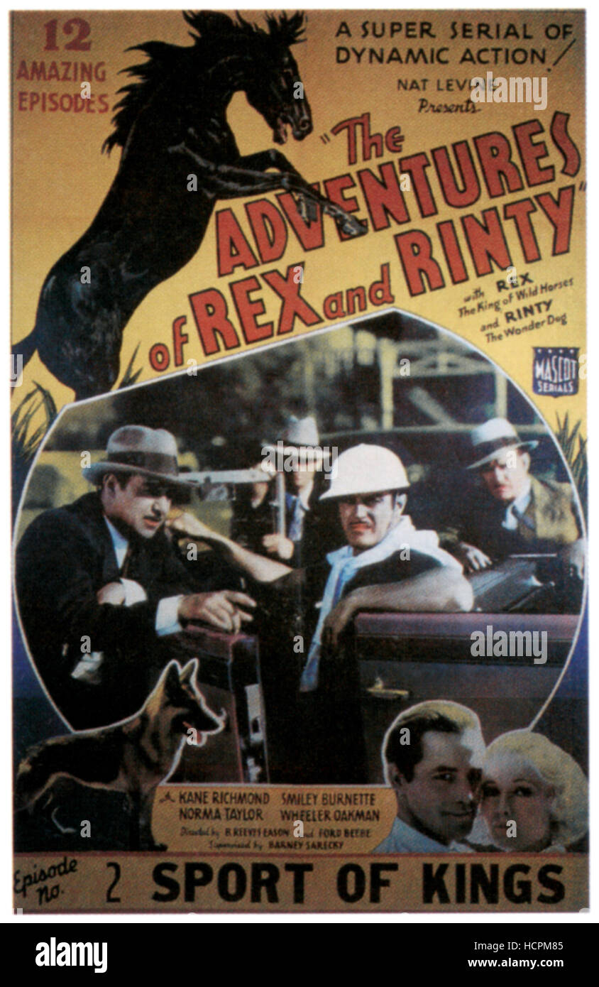 THE ADVENTURES OF REX AND RINTY, top Rex King of the Wild Horses