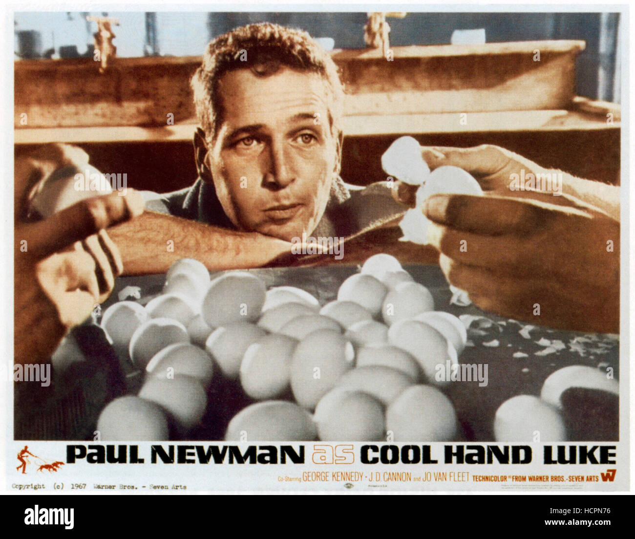COOL HAND LUKE, Paul Newman, 1967 Stock Photo Alamy