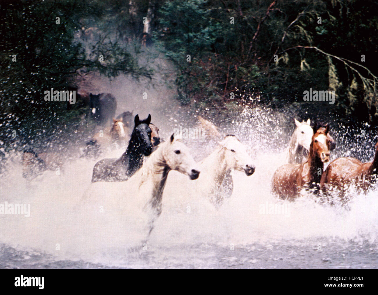 THE MAN FROM SNOWY RIVER, 1982, TM and Copyright (c)20th Century Fox ...
