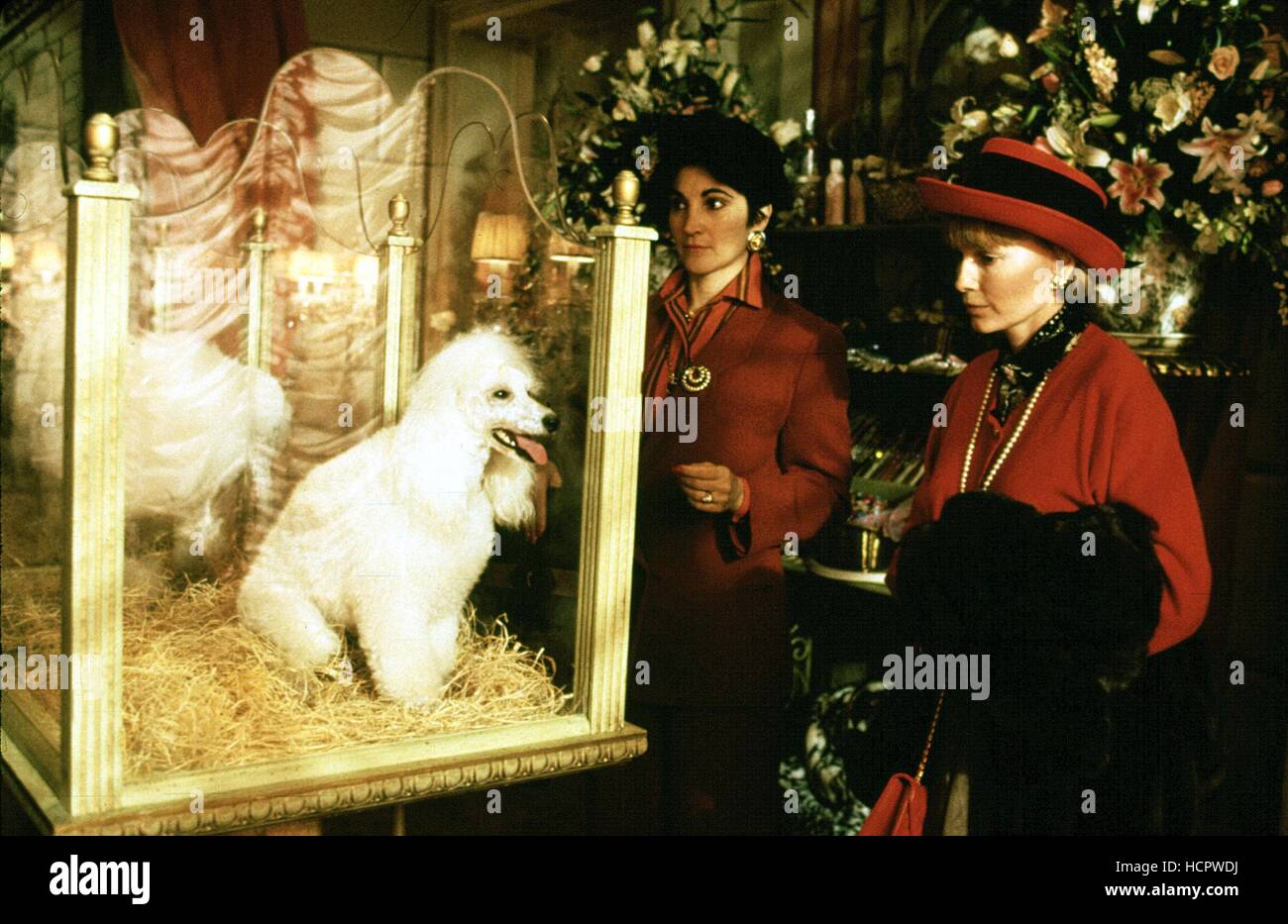 ALICE, Mia Farrow, 1990 Stock Photo - Alamy