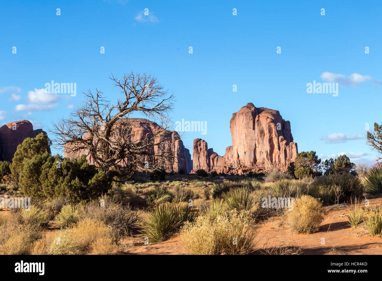 Monument Valley National Park in Arizona, USA Stock Photo Alamy