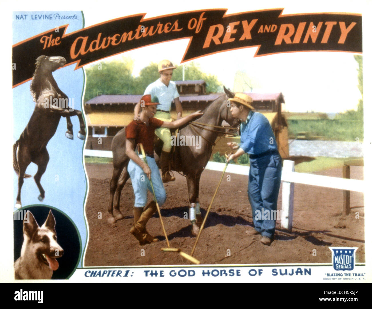 THE ADVENTURES OF REX AND RINTY, Kane Richmond, Rex King of the Wild