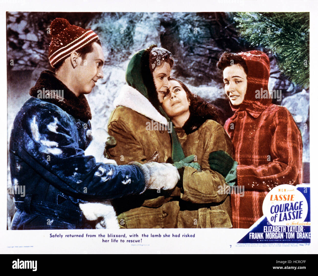 COURAGE OF LASSIE, lobbycard, l-r: David Holt, Selena Royle, Elizabeth ...