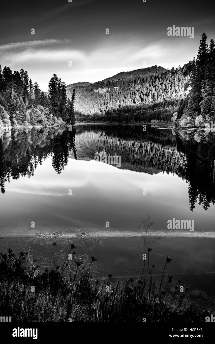 Calm Sunset Reflection Toketee Lake Umpqua River Oregon Black and White Photography Stock Photo