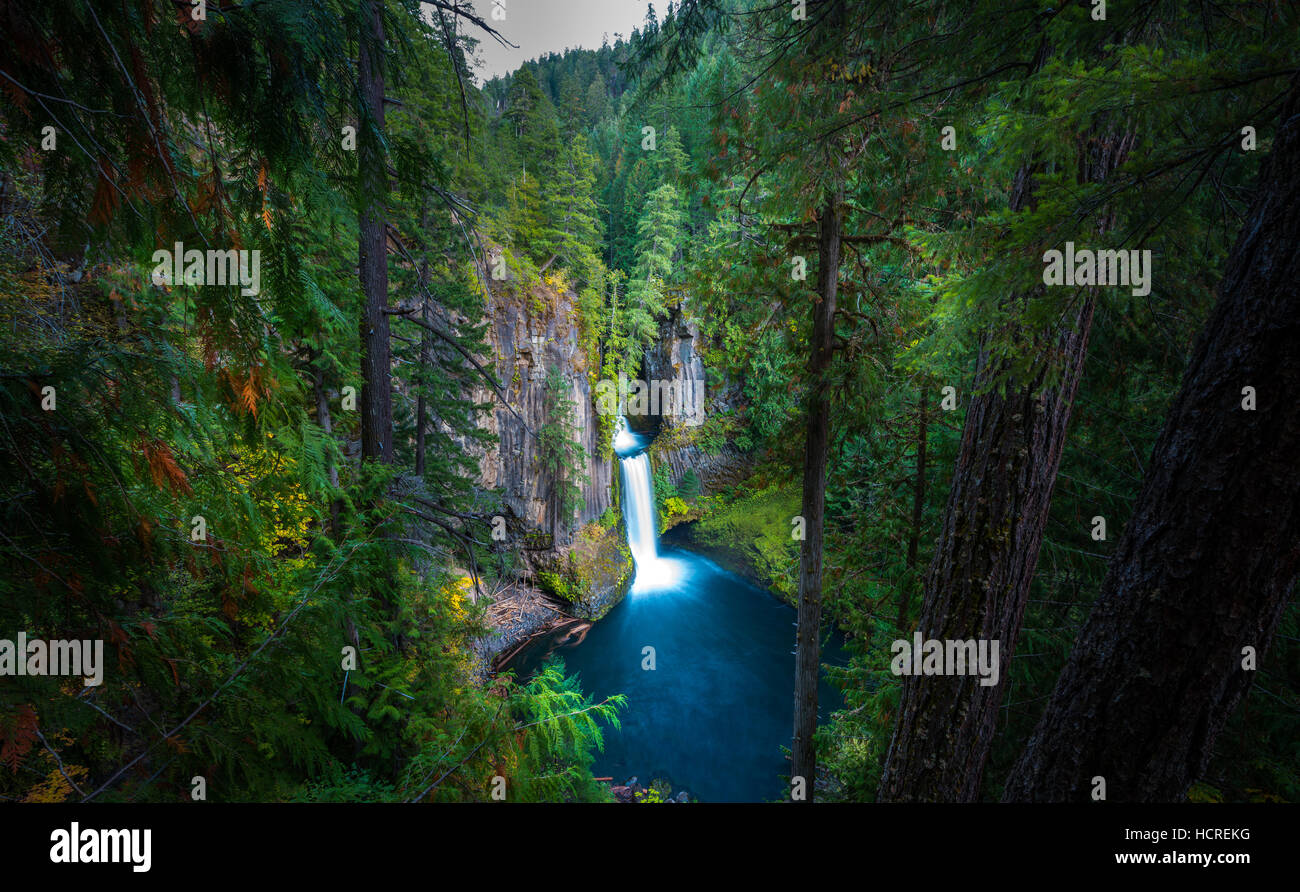 Toketee Falls Douglas County Oregon as seen from the viewing platform Stock Photo