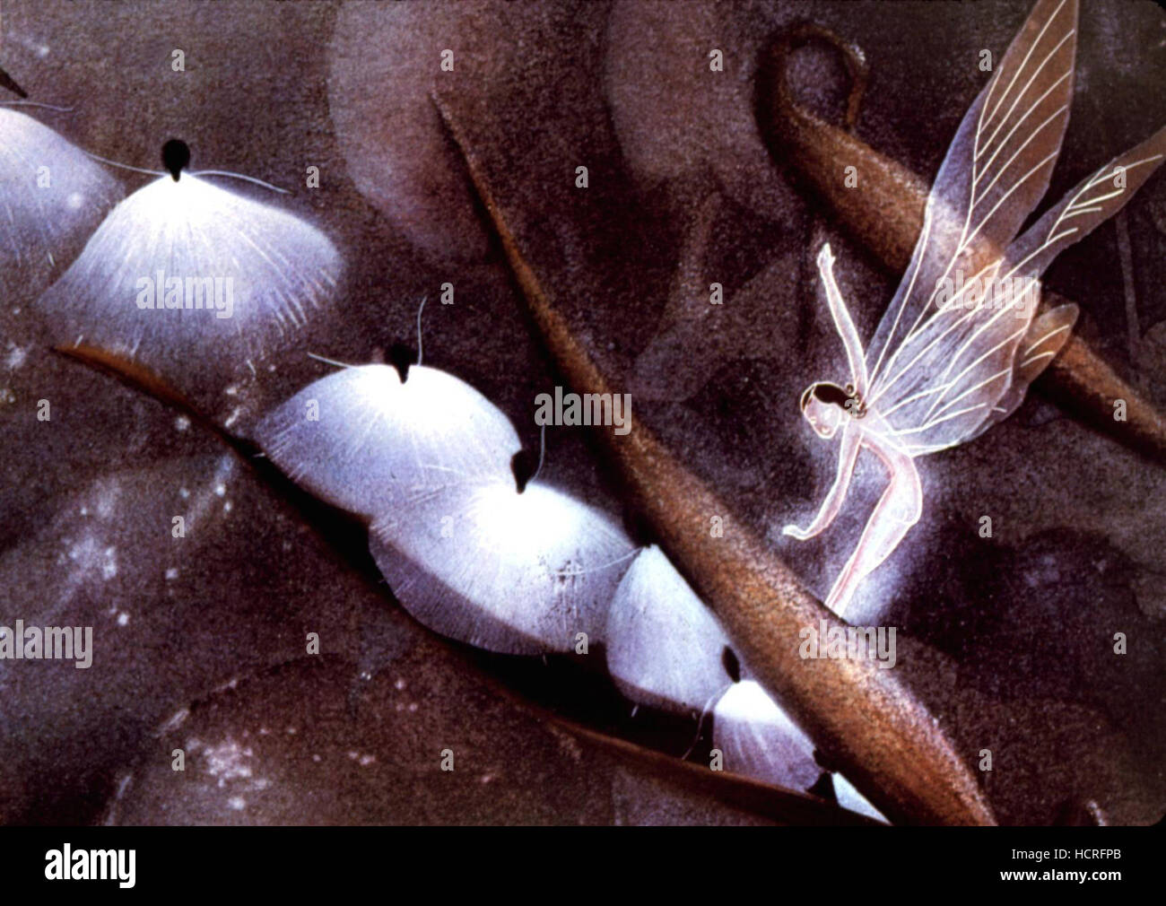 FANTASIA, Dance of the Sugar Plum Faries, 1940. © Walt Disney