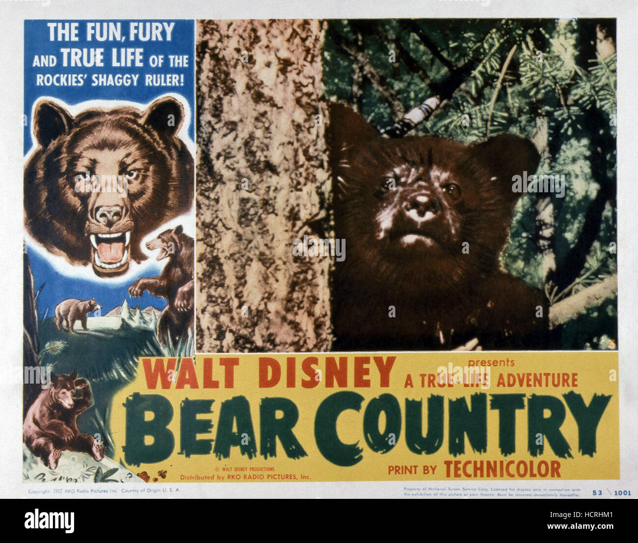 BEAR COUNTRY, 1953 Stock Photo Alamy