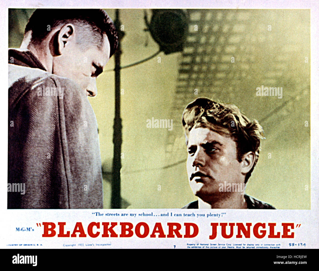BLACKBOARD JUNGLE, Glenn Ford, Vic Morrow, 1955 Stock Photo Alamy