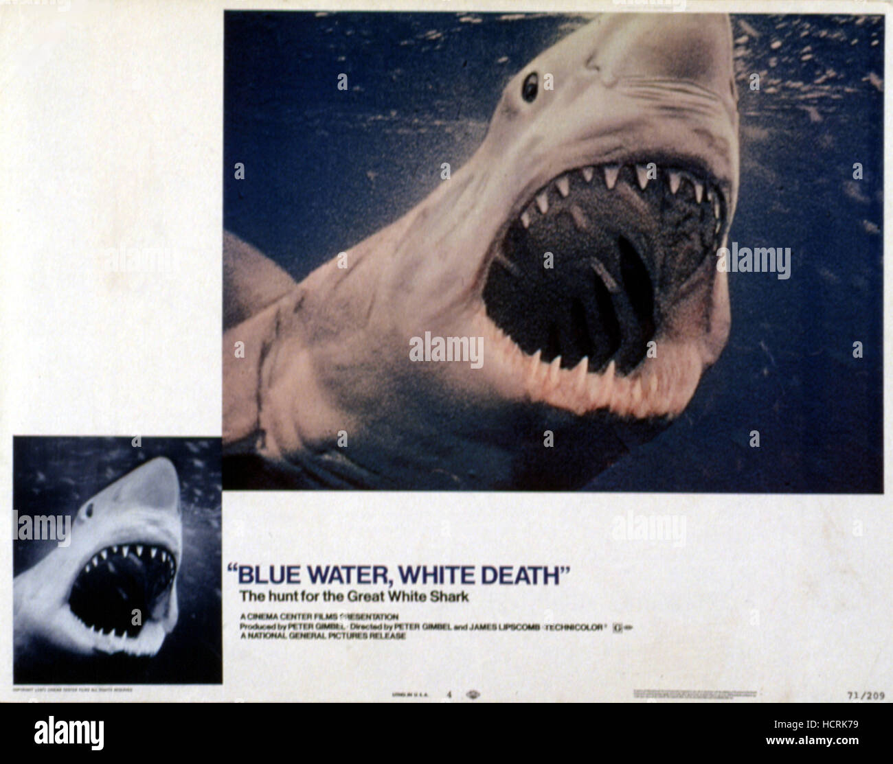 BLUE WATER, WHITE DEATH, Great White shark on the prowl, 1971 Stock ...