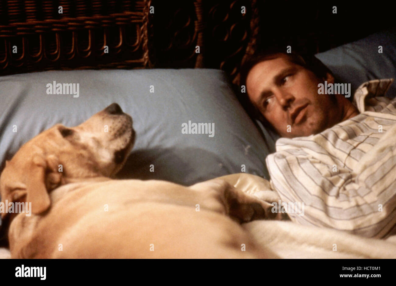 FUNNY FARM, Chevy Chase, 1988, (c)Warner Bros./courtesy Everett