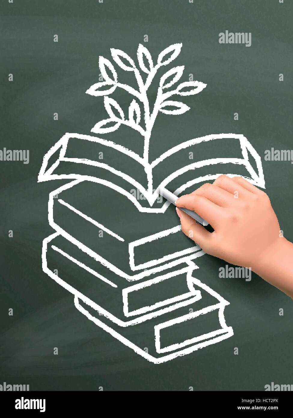 plant grows from books drawn by hand over chalkboard Stock Vector