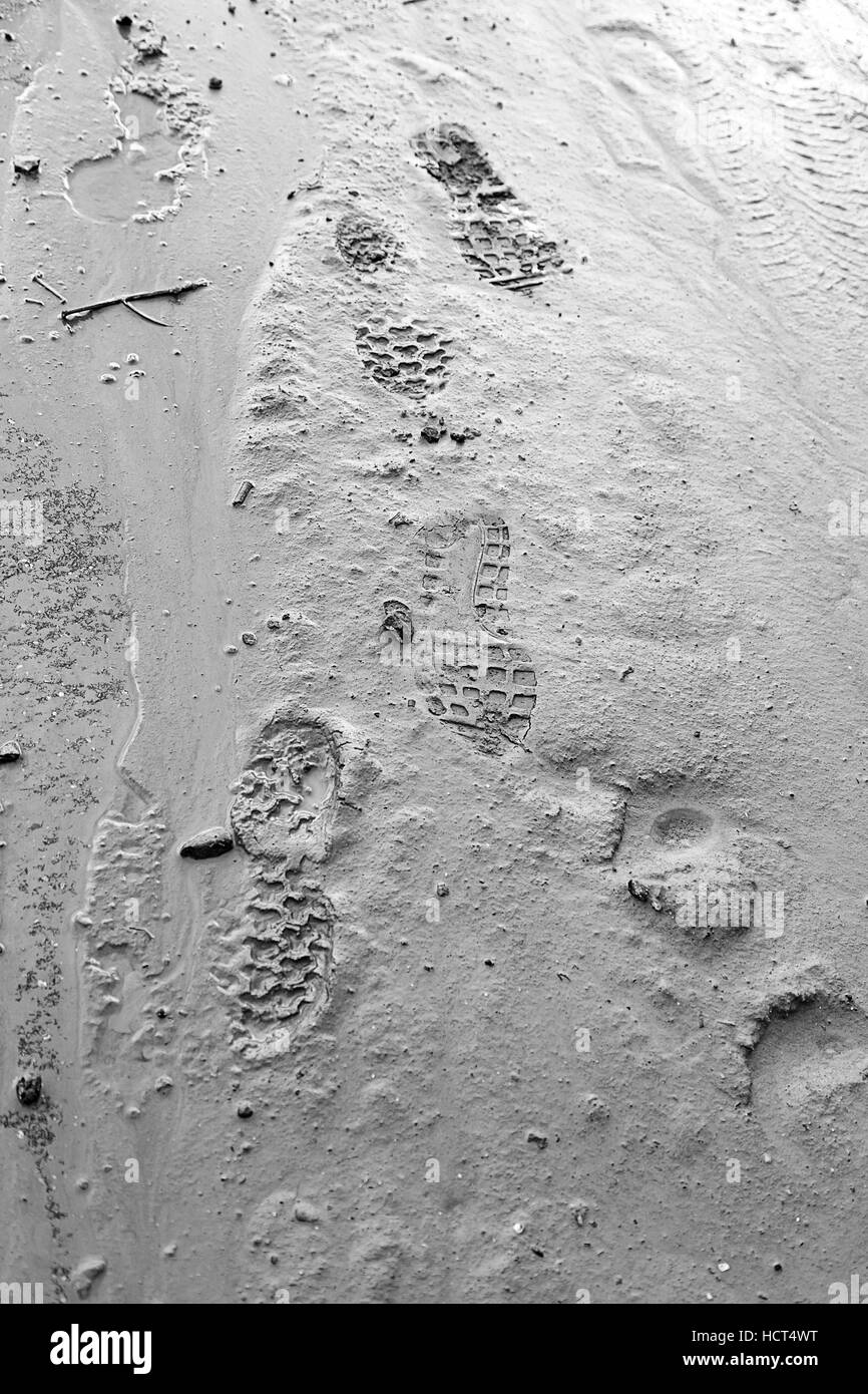 Footprints in the sand, detail of some footprints Stock Photo Alamy