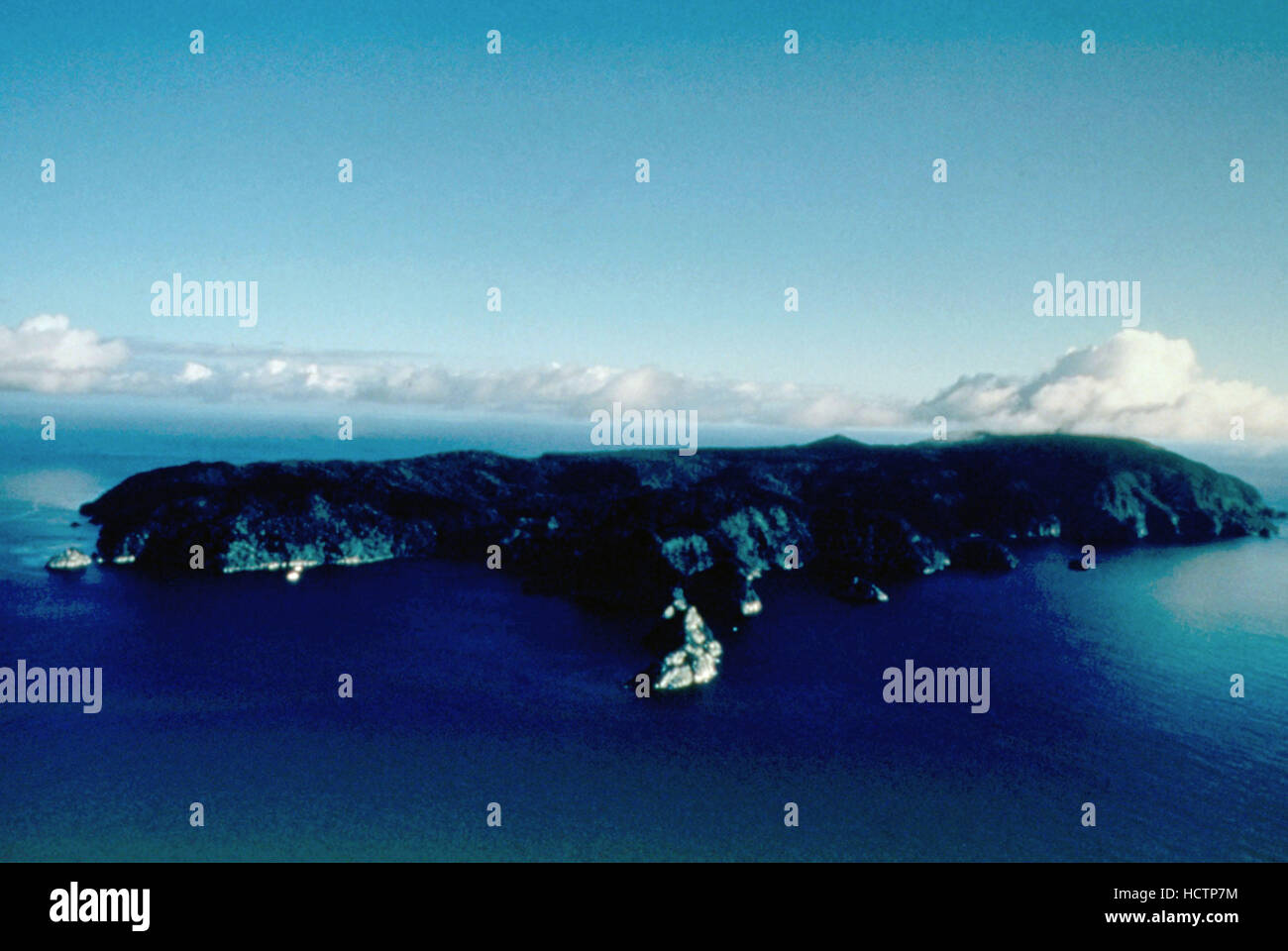 ISLAND OF THE SHARKS, 1999. ©IMAX Pictures/Courtesy Everett Collection