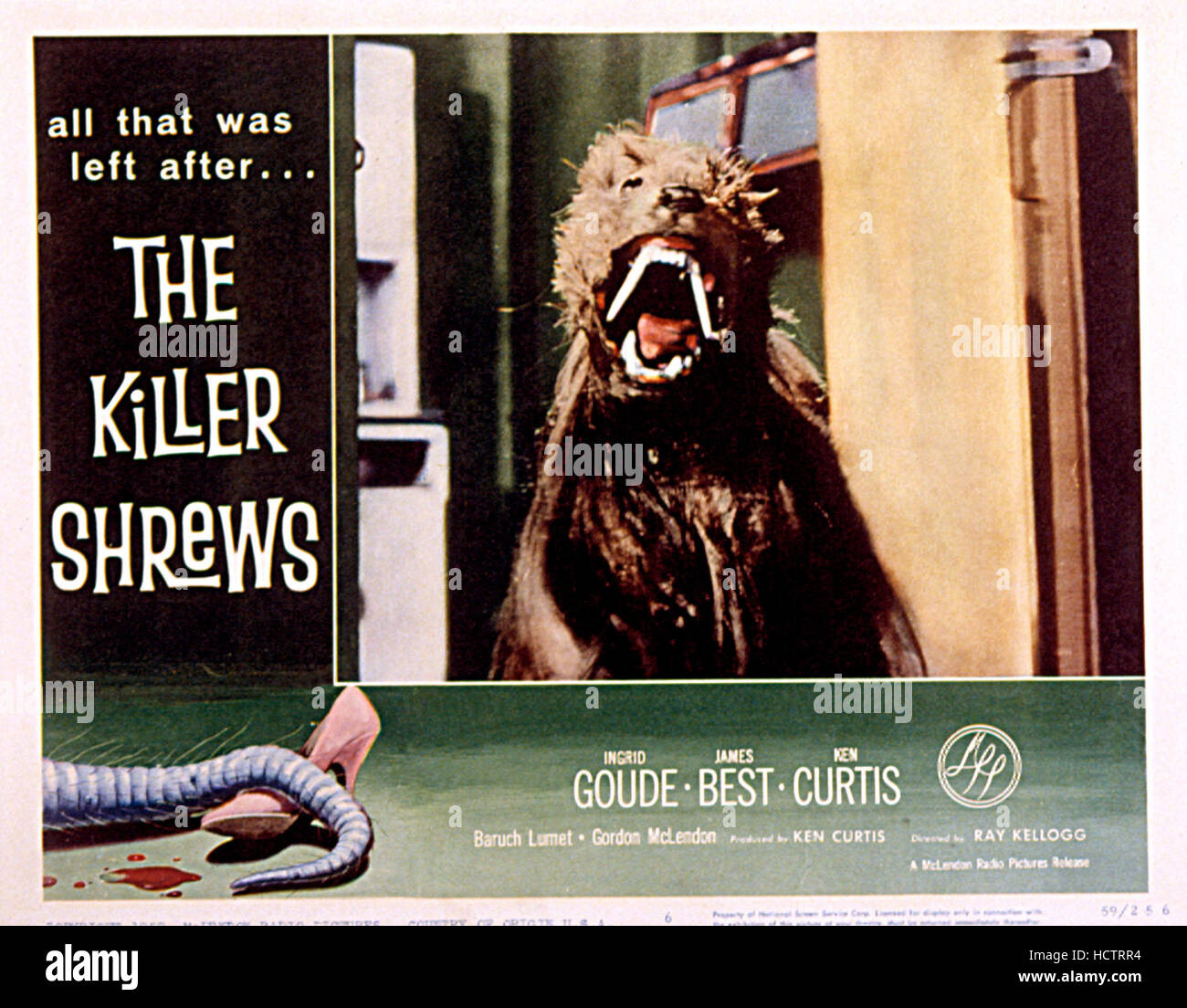 THE KILLER SHREWS, 1959 Stock Photo Alamy