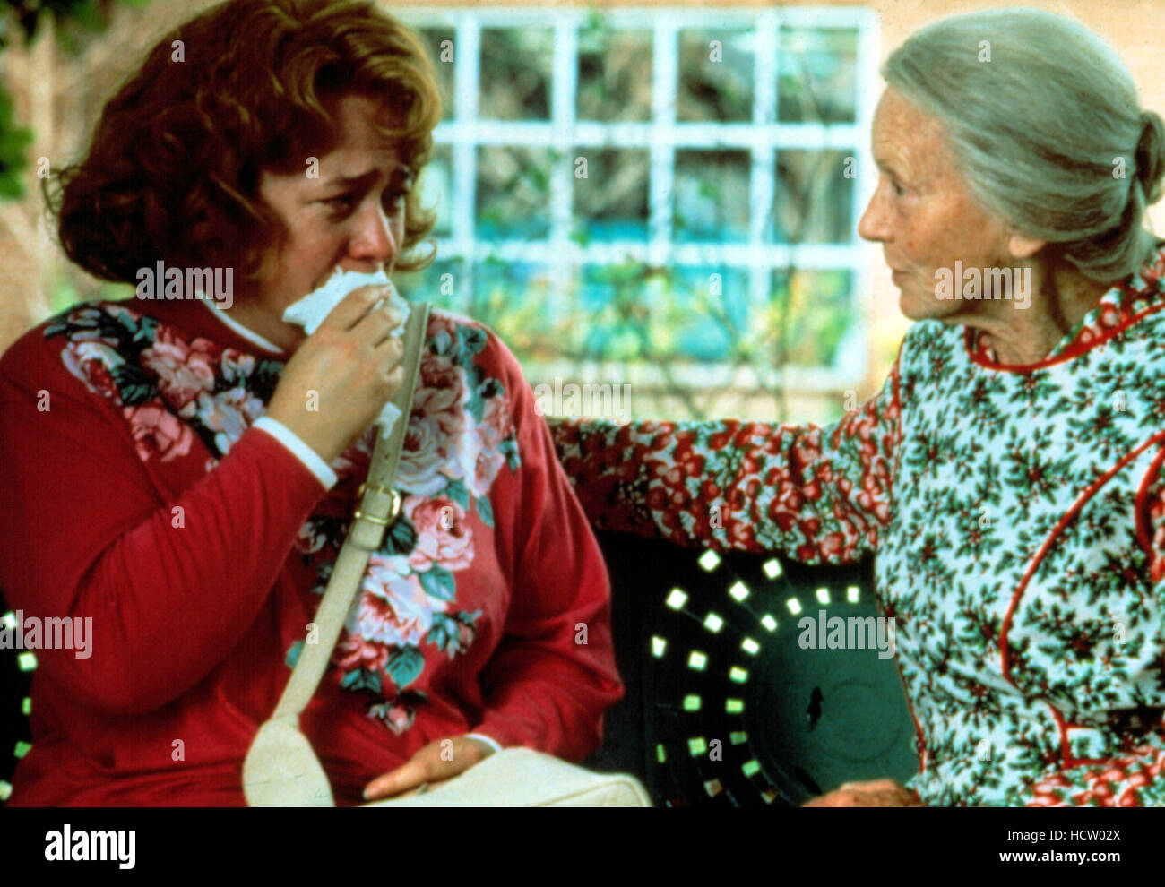 FRIED GREEN TOMATOES, Kathy Bates, Jessica Tandy, 1991 Stock Photo Alamy