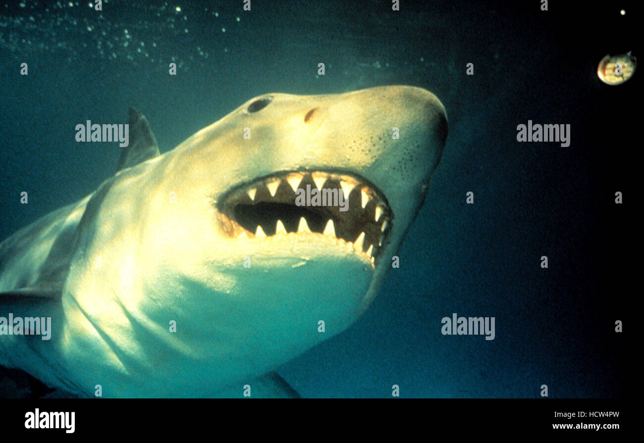 JAWS 3-D, shark, 1983 Stock Photo - Alamy