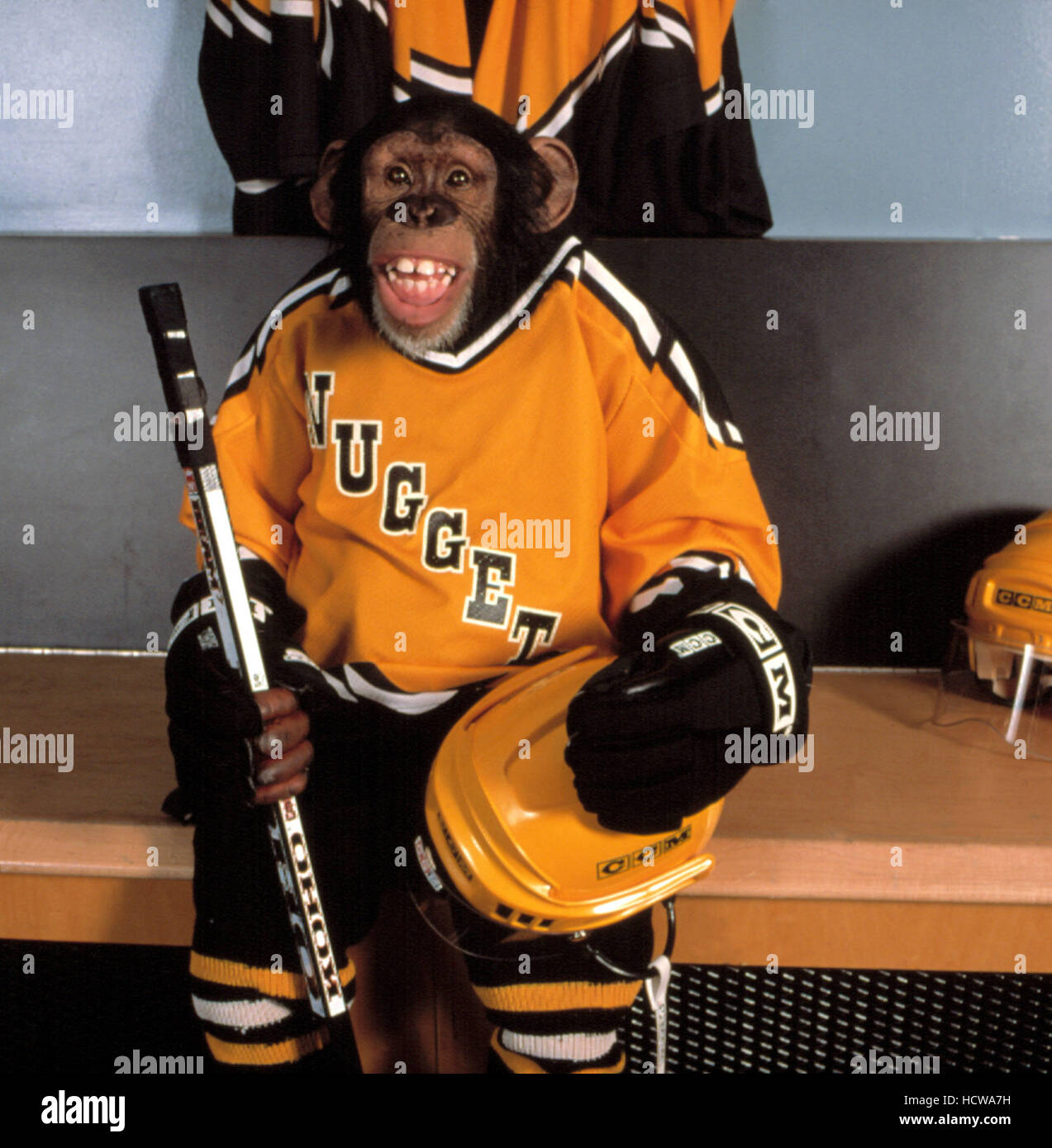 MVP MOST VALUABLE PRIMATE, Jack, the Chimpanzee, 2000 Stock Photo Alamy