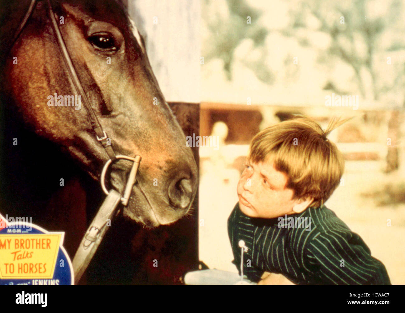MY BROTHER TALKS TO HORSES, Butch Jenkins, 1947 Stock Photo Alamy