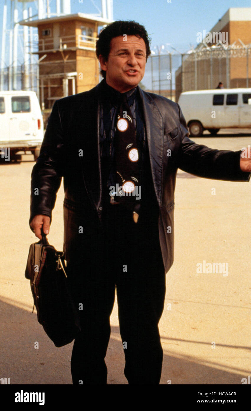MY COUSIN VINNY, Joe Pesci, 1992, TM & Copyright (c) 20th Century Fox