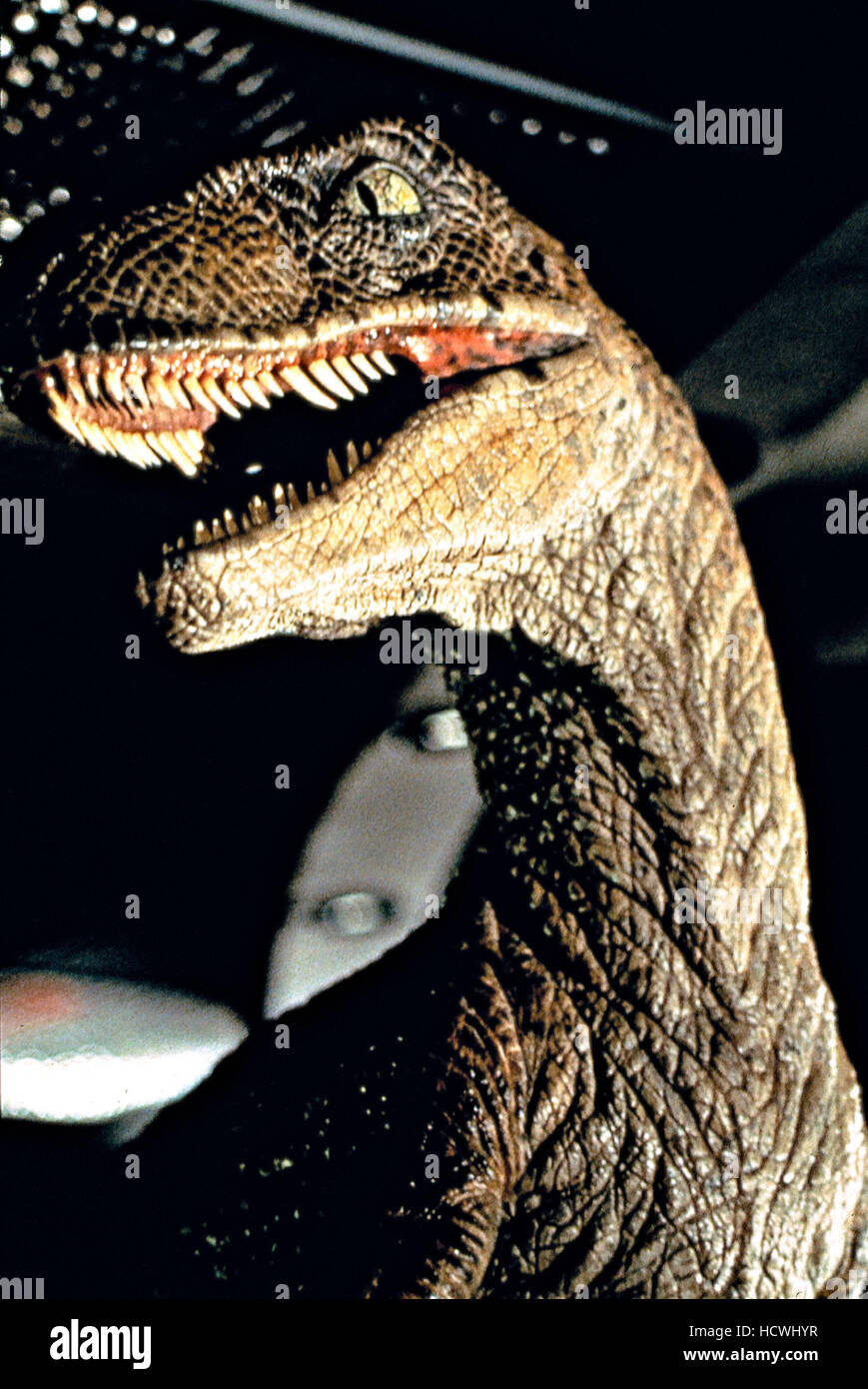 wtb velociraptor 2.1